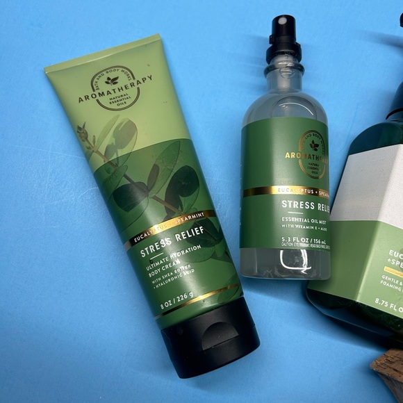 Bath & Body Works Eucalyptus Spearmint Gift Bag Set - Picture 2 of 7